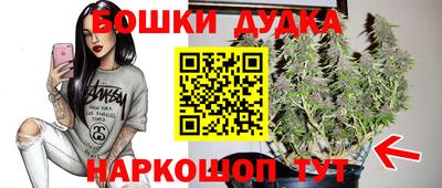 стафф Можга