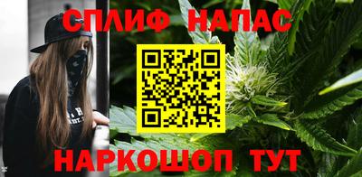 стафф Можга