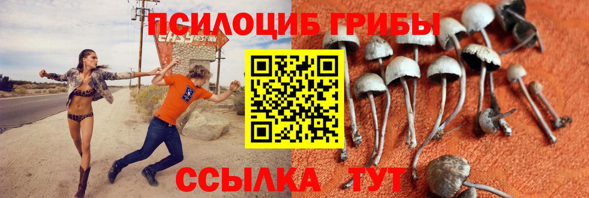 Псилоцибиновые грибы GOLDEN TEACHER Улан-Удэ
